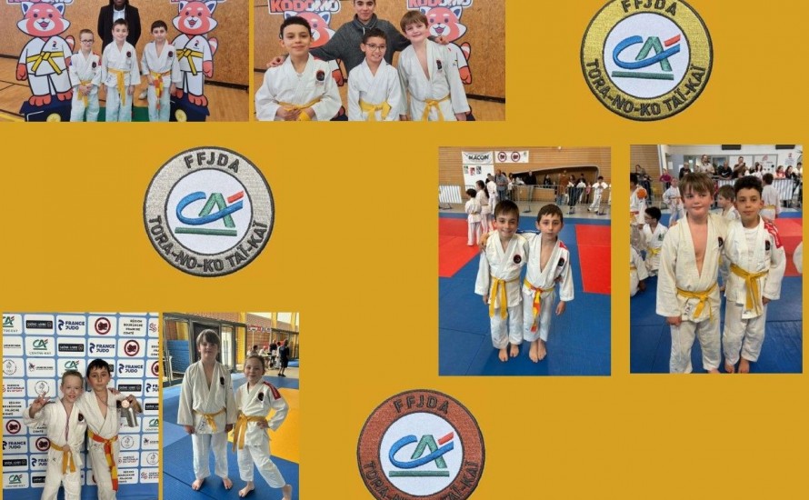 RESULTAT FINAL DU TOURNOI DES PETITS TIGRES > Bravo aux lauréats des écussons ...